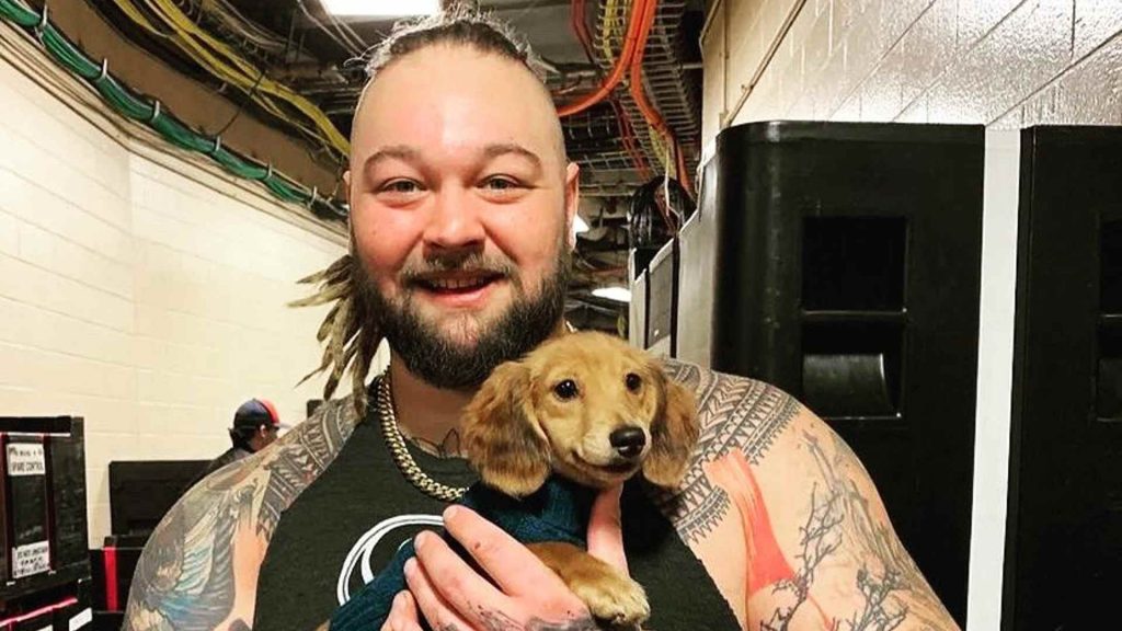 Bray Wyatt died at the age of 36. How did Bray Wyatt die?