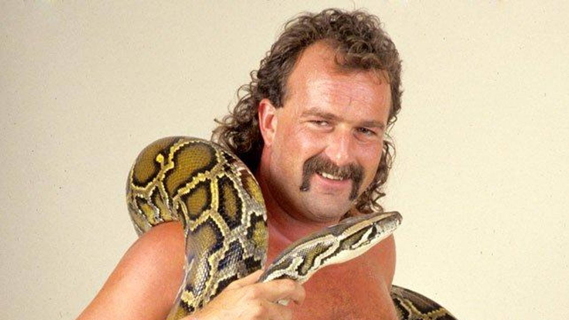 biography wwe legends jake the snake roberts