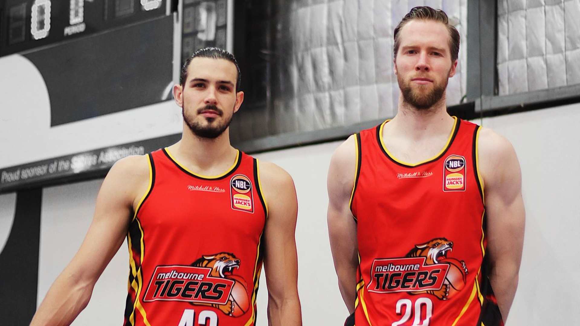 Ringwood Hawks vs Melbourne Tigers Live Stream, Schedule, Fixture