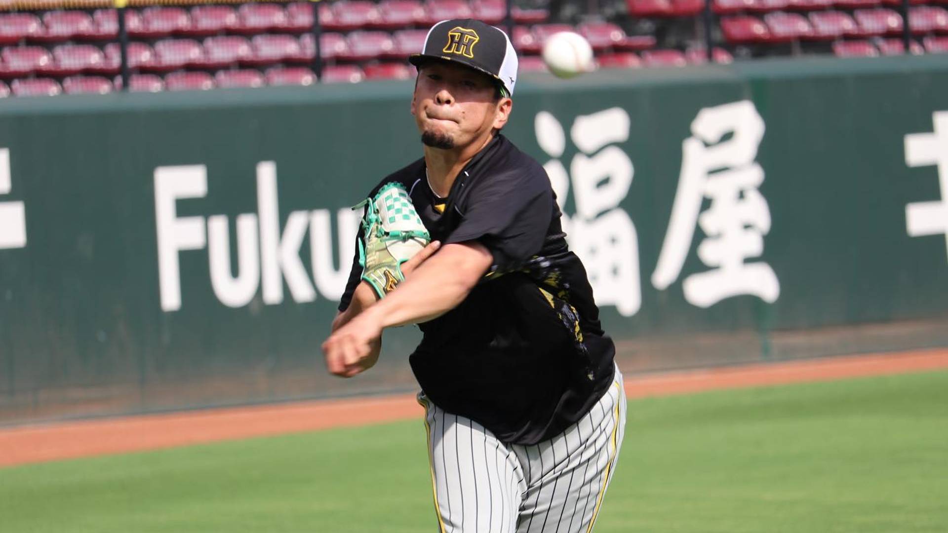 Hiroshima Toyo Carp vs Hanshin Tigers NPB Live Stream, Schedule