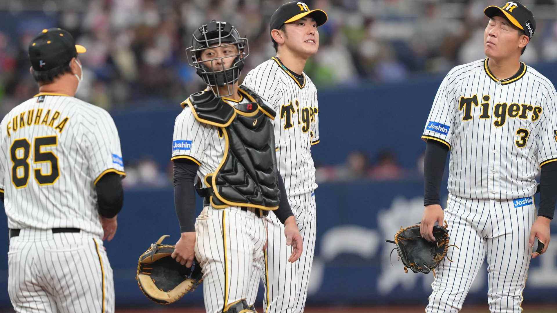 Hanshin Tigers vs Tokyo Yakult Swallows NPB Live Stream, Schedule