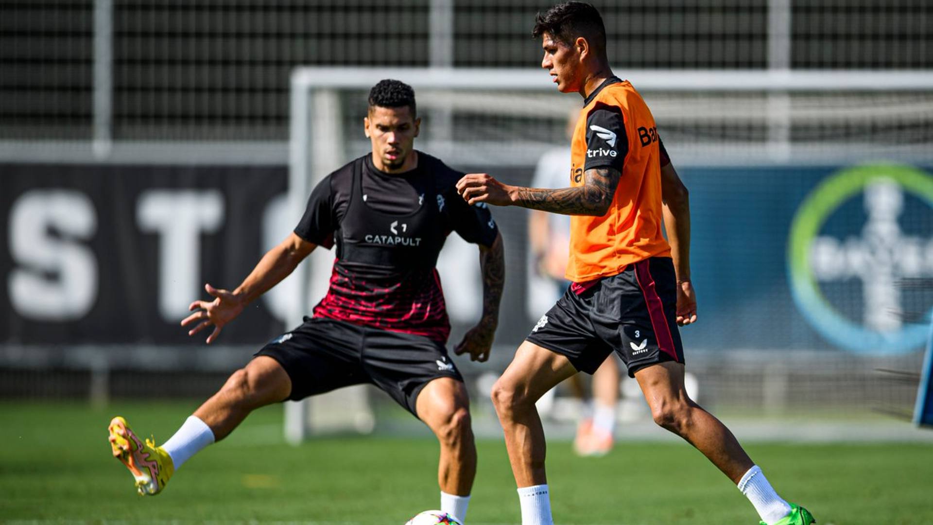 Bayer Leverkusen vs Porto Champions League Live Stream, Schedule