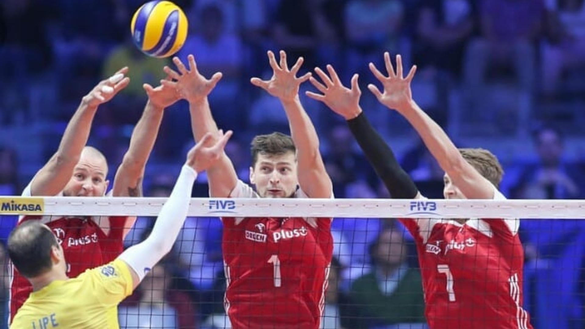 Poland vs Mexico, Paris Olympics Volleyball Qualifier 2023 Men: Live ...