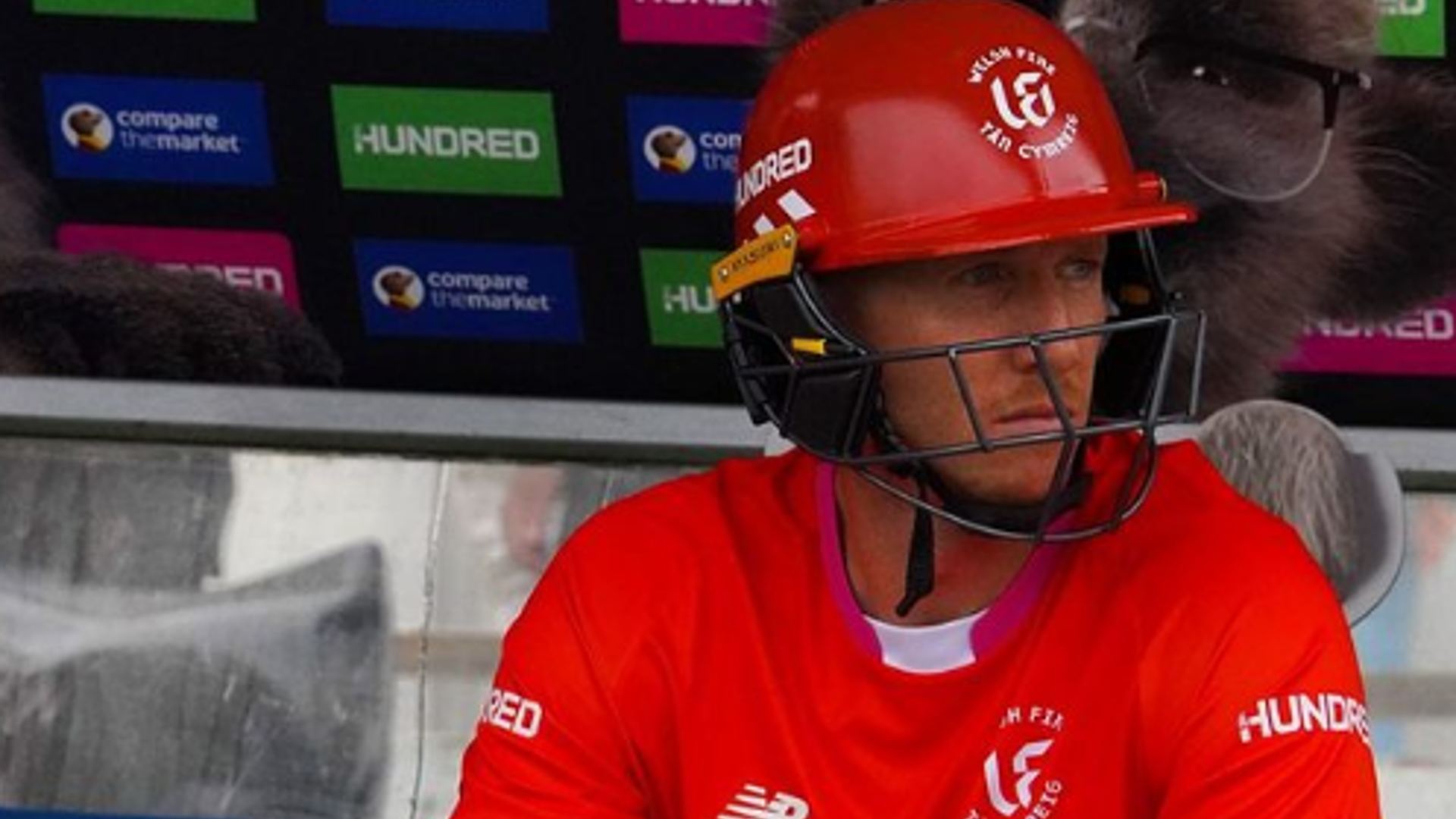 What is Luke Wells net worth, franchise fee, salary and brand endorsements?